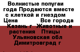 Волнистые попугаи, 2 года.Продаются вместе с клеткой и гнездом. › Цена ­ 2 800 - Все города, Казань г. Животные и растения » Птицы   . Ульяновская обл.,Димитровград г.